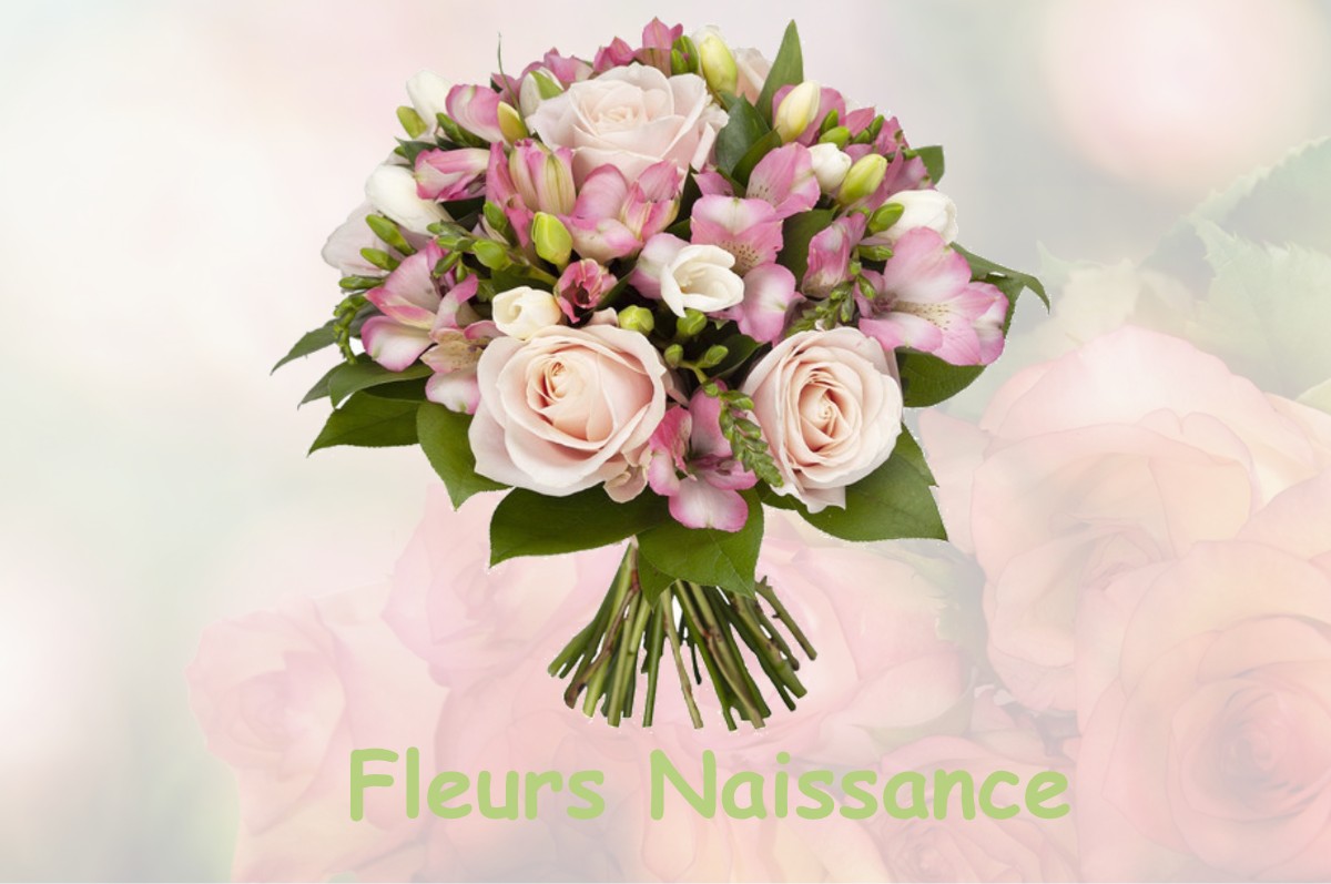 fleurs naissance VAL-D-ORNAIN