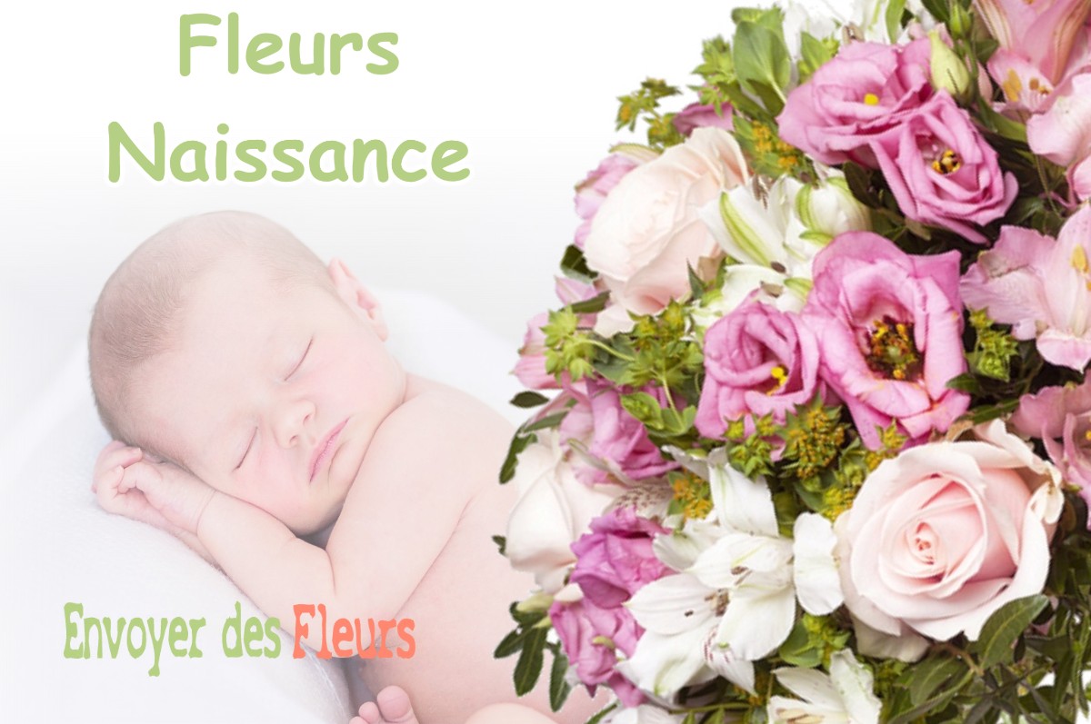 lIVRAISON FLEURS NAISSANCE à VAL-D-ORNAIN